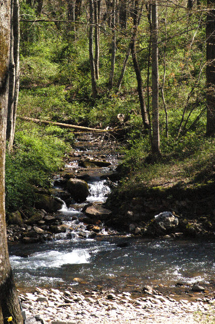 normal view of stream across main stream