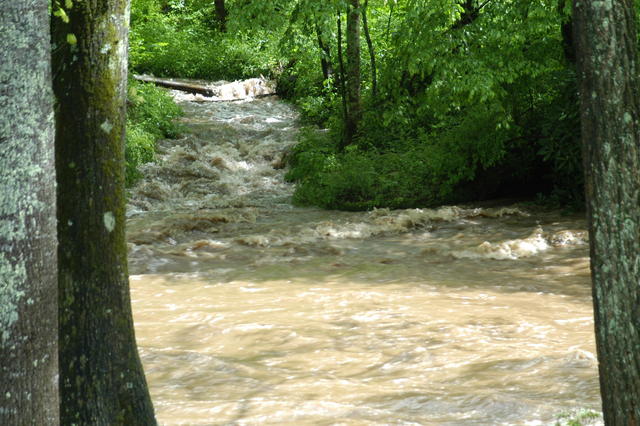 Today's view of small stream across main stream