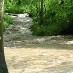 Today's view of small stream across main stream