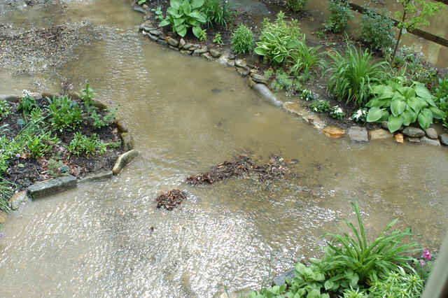 now i have a lot more work to do....these used to be the garden paths with i don't know how many loads of gravel....oh well, cou