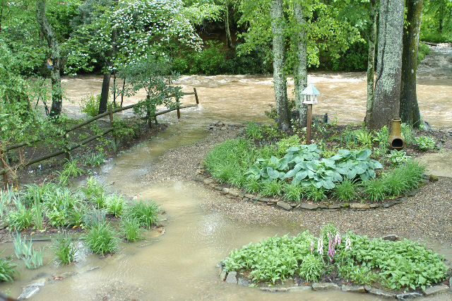 our backyard, water really starting to rise