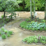 our backyard, water really starting to rise