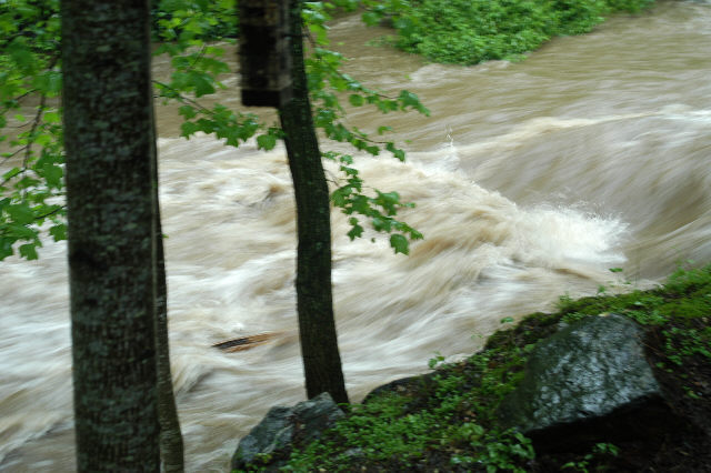 stream by the our other house 2 doors down.