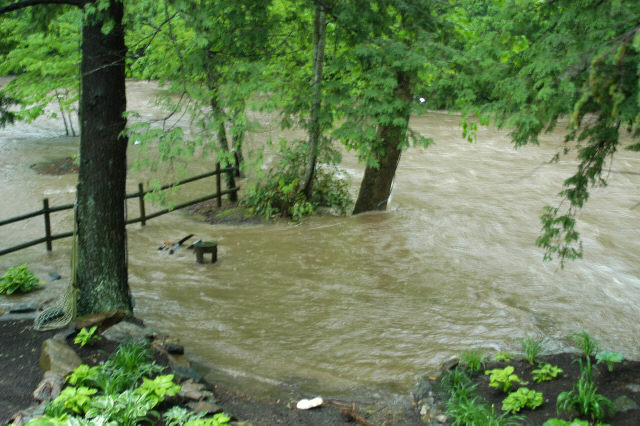 closer up of our rental house yard. This is where the picnic table and fire pit are....????