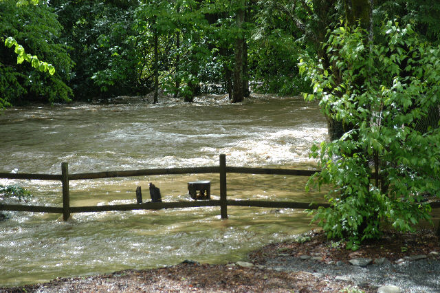 bonnie's backyard