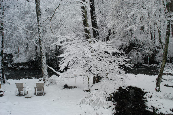 our backyard, pond, and stream