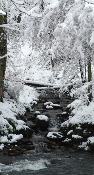 small stream across from the Jonathan Creek