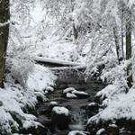 small stream across from the Jonathan Creek