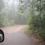 The drive out of Peacock Spring