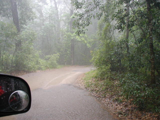 The drive out of Peacock Spring