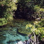 Xel-Ha 1