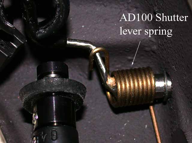 ad100spring