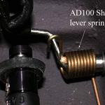 ad100spring