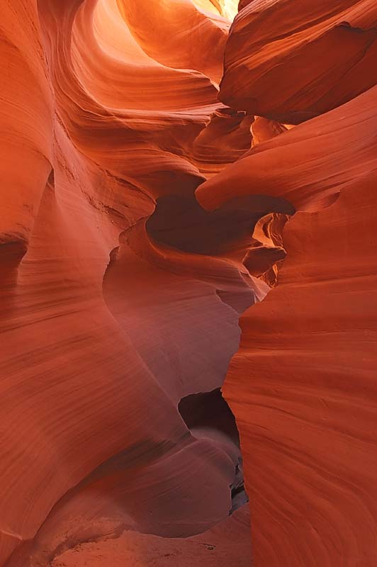 Lower Antelope Canyon

Page, AZ.

D100, 17-35mm at 17mm