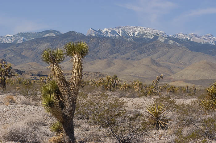 01 Leaving Las Vegas.  Paiute Indian Reservation.