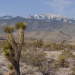 01 Leaving Las Vegas.  Paiute Indian Reservation.