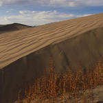 24  Sand Dunes at Stovepipe Wells.  Sunset.  I love the dunes.