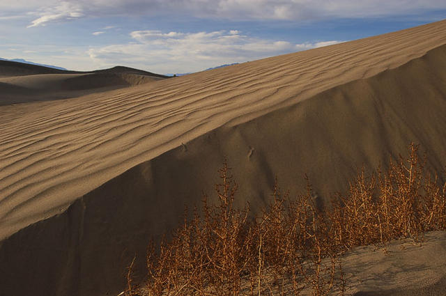 24  Sand Dunes at Stovepipe Wells.  Sunset.  I love the dunes.