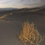 27 Sand Dunes at Stovepipe Wells. Sunset