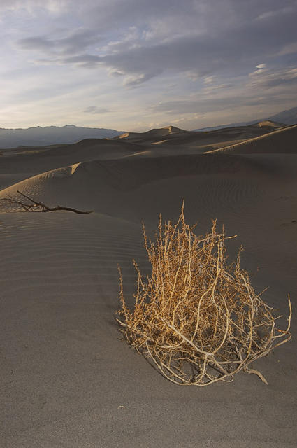 27 Sand Dunes at Stovepipe Wells. Sunset