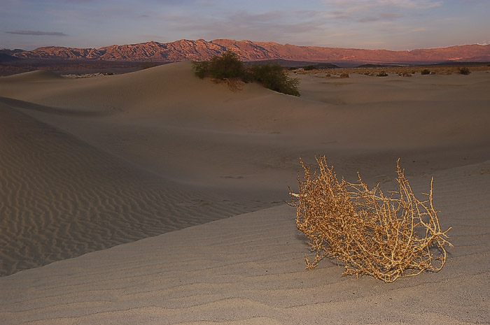 28 Sand Dunes at Stovepipe Wells. Sunset 
