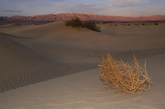 28 Sand Dunes at Stovepipe Wells. Sunset 
