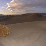 29  Sand Dunes at Stovepipe Wells. Sunset. 16mm
