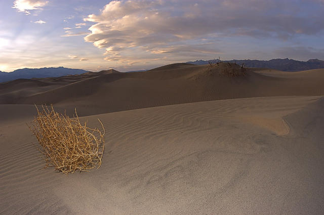 29  Sand Dunes at Stovepipe Wells. Sunset. 16mm