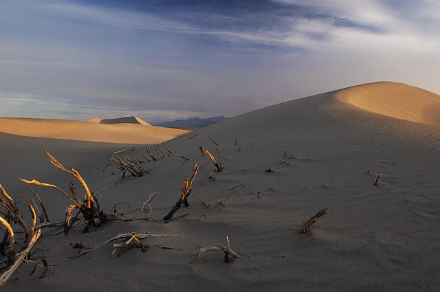 31 Sand Dunes at Stovepipe Wells. Sunrise.