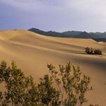 37 Yes, there is color in the sand dunes