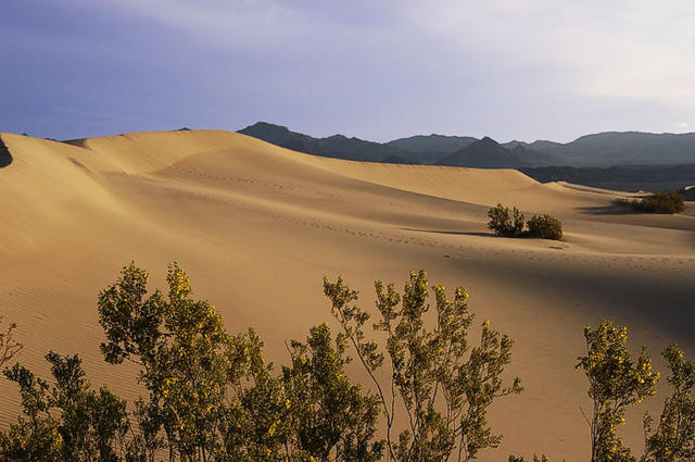 37 Yes, there is color in the sand dunes