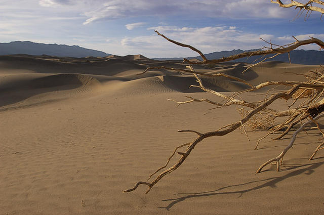 38  More dunes