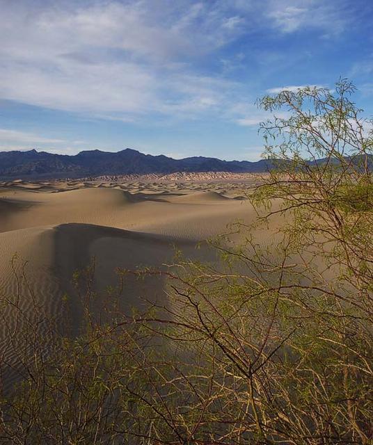 39  More dunes