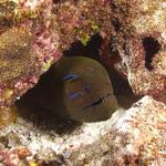 moray020_0038