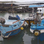 34  Fisherman and friend at the fish market Porto Arroyo