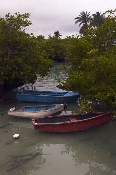 37  Boats - Porto Arroyo