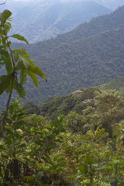 43 Bellavista Cloud Forest Reserve.  That's their geodesic lodge.