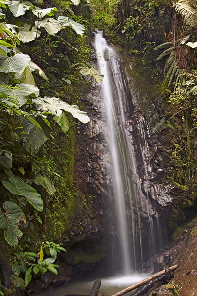 54 The waterfall at the end of a "difficult" trail