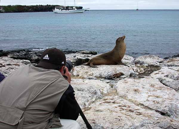 Sea lion posing for me