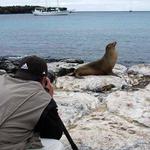 Sea lion posing for me