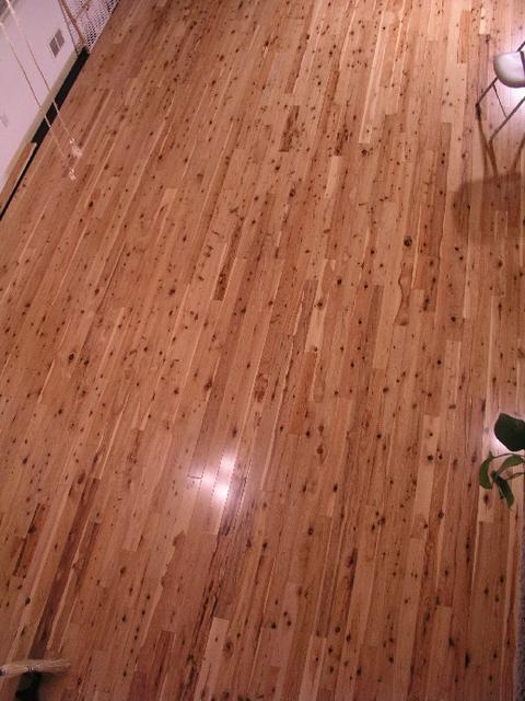 Floor_new_36.JPG