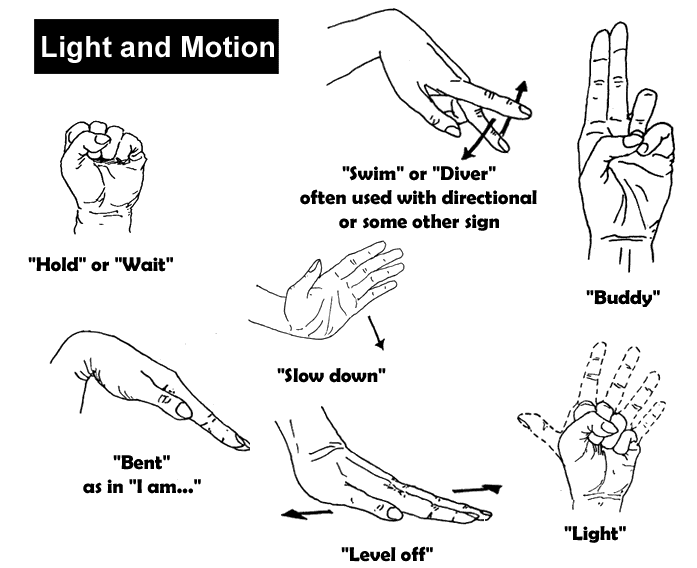 hands_lightMotion[1].gif