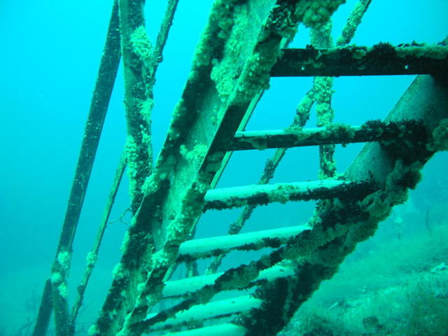 Under the Stairs