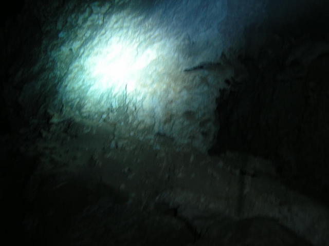 b Ceiling Halocline blur