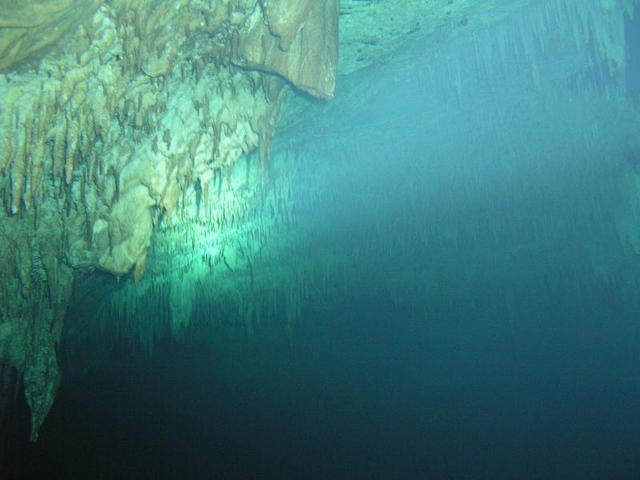 b Stalactite Ceiling