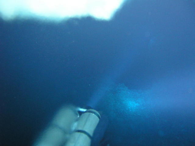half in half out halocline
