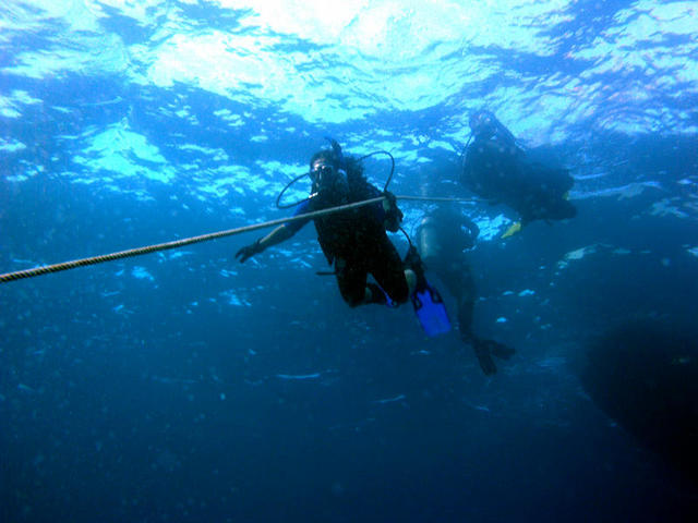 Dive 1 Descent2.jpg