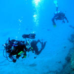 Gaggle of Divers.jpg