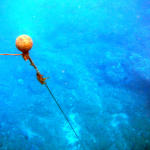 Mooring Buoy.jpg