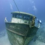 Roatan '04 Wrecks